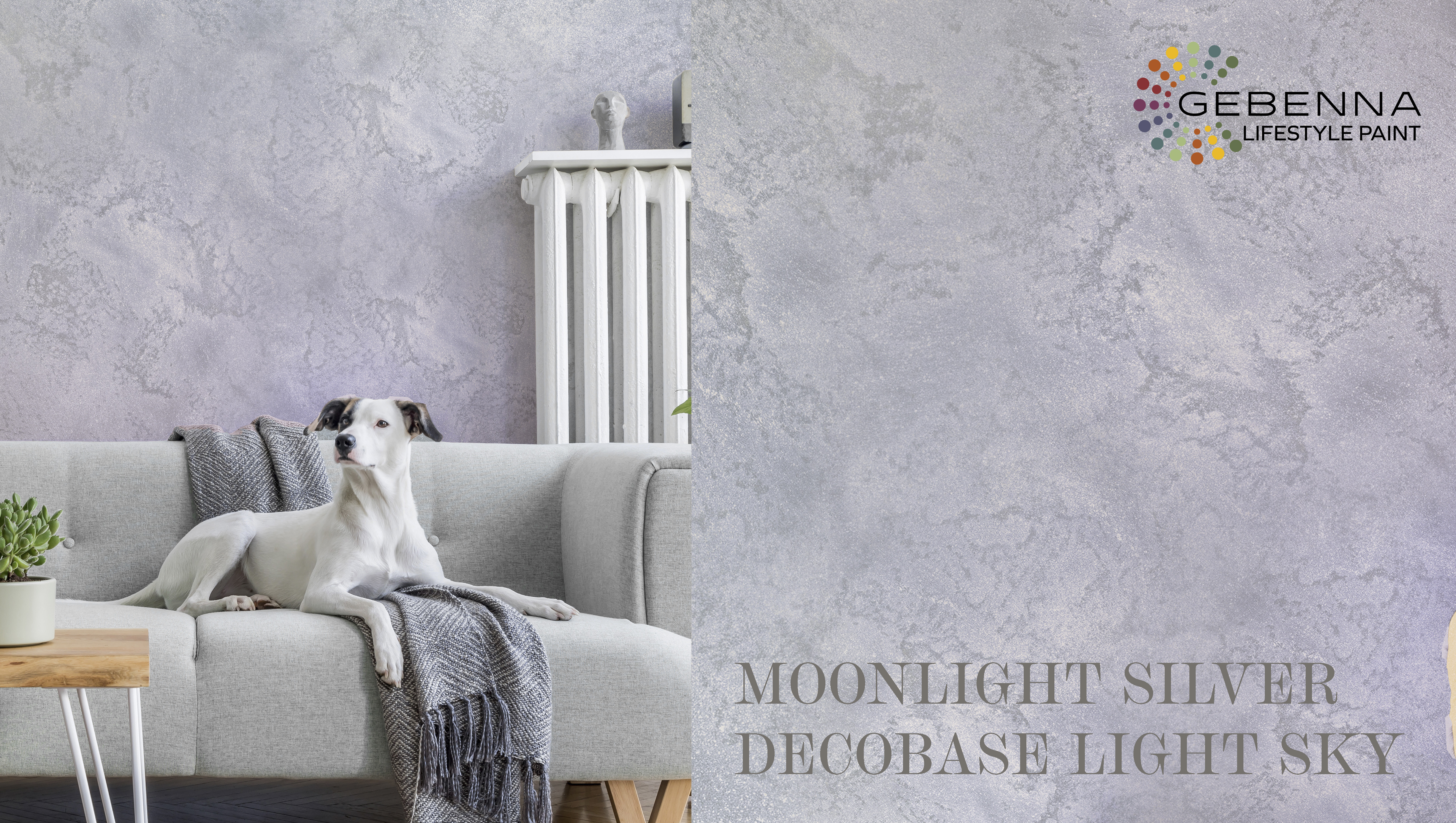 MOONLIGHT SILVER LIGHT SKY.jpg